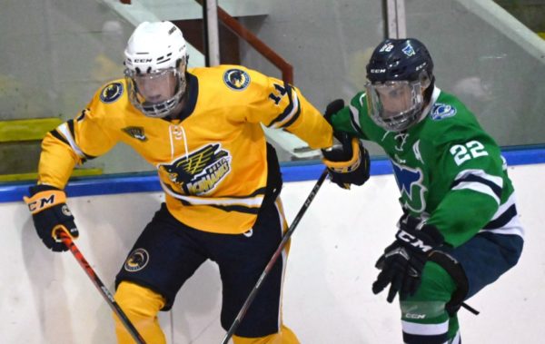 High-scoring Delta Ice Hawks looking to play a more complete game